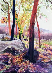 Ocaleni z pożaru buszu, Sydney, 1994 (wc)